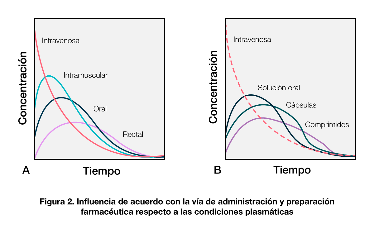 Biodisponibilidad de medicamentos