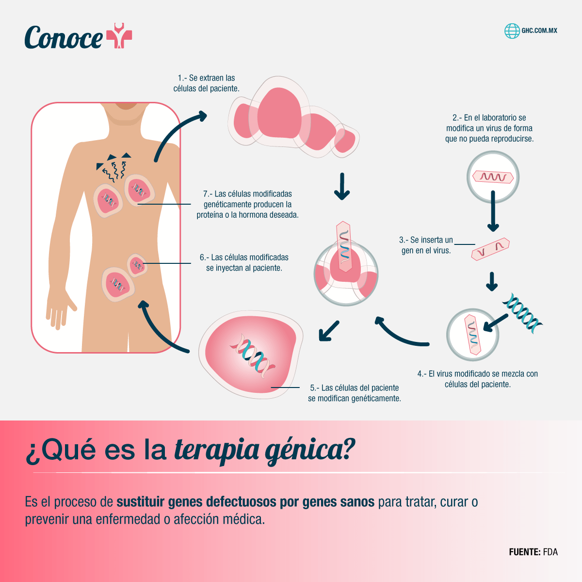 ¿Qué es la terapia génica?